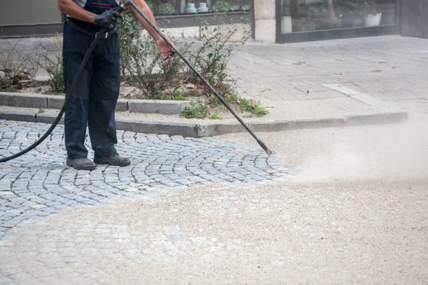 Best Driveway Pressure Washing  in Prospect Rk, PA